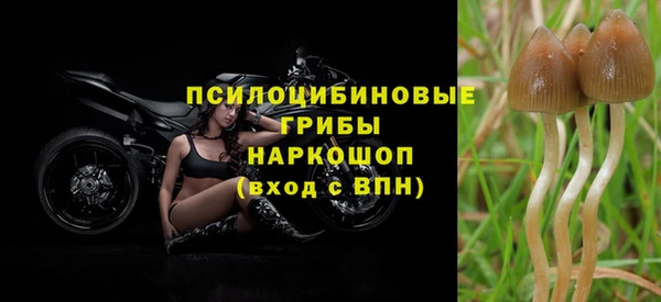 ALPHA PVP Баксан
