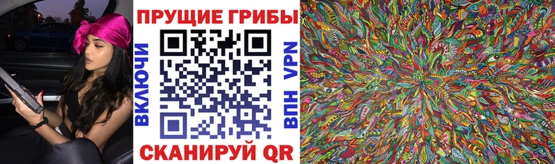 цена наркотик Сегежа Псилоцибиновые грибы Cubensis