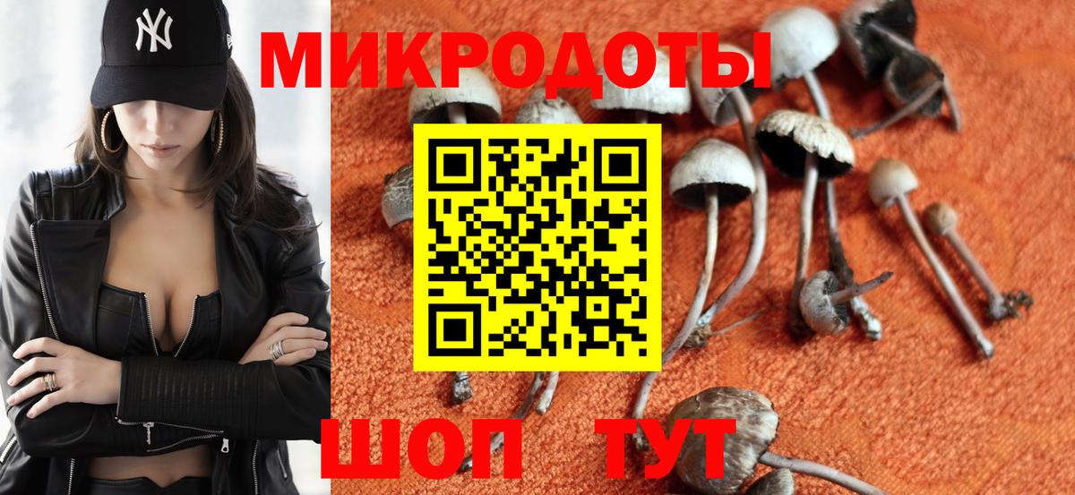 Галлюциногенные грибы Psilocybine cubensis Сегежа
