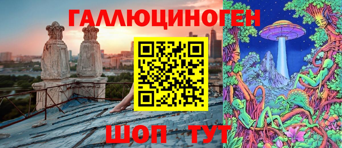 дарнет шоп  Вход с VPN  Сегежа  Галлюциногенные грибы Psilocybe 